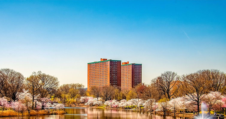 North Lakes Apartment