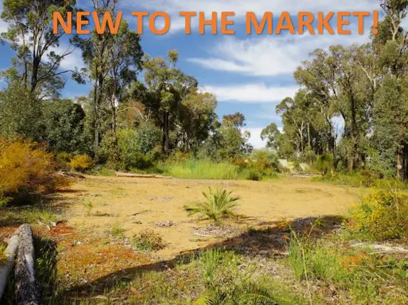 New To The Market